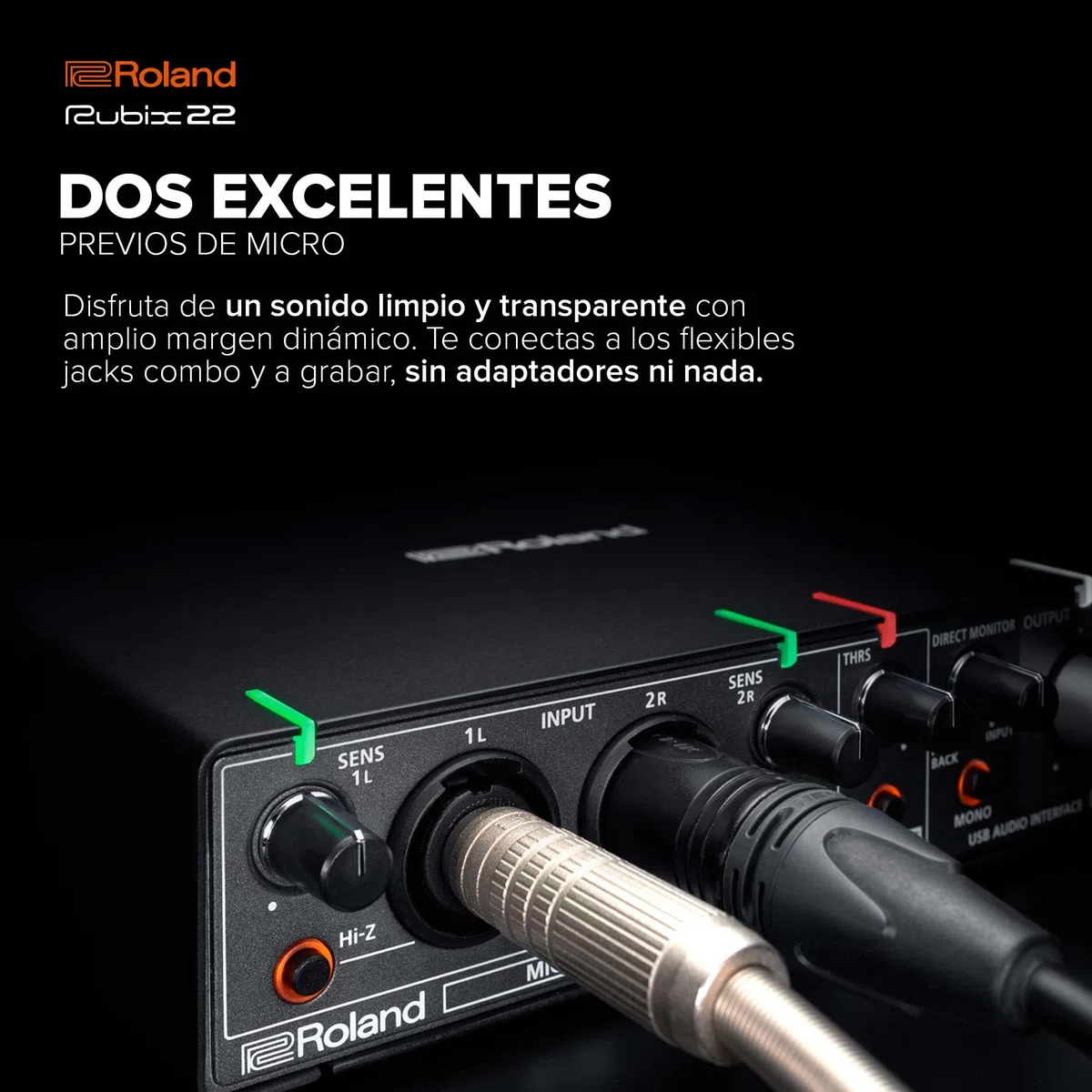 Roland Rubix22 Interfaz de audio USB de dos entradas y dos salidas | Audio en alta resolución | Graba con micros, guitarras, teclas y más | Compacto y resistente | Compatible con Mac, PC y iPad