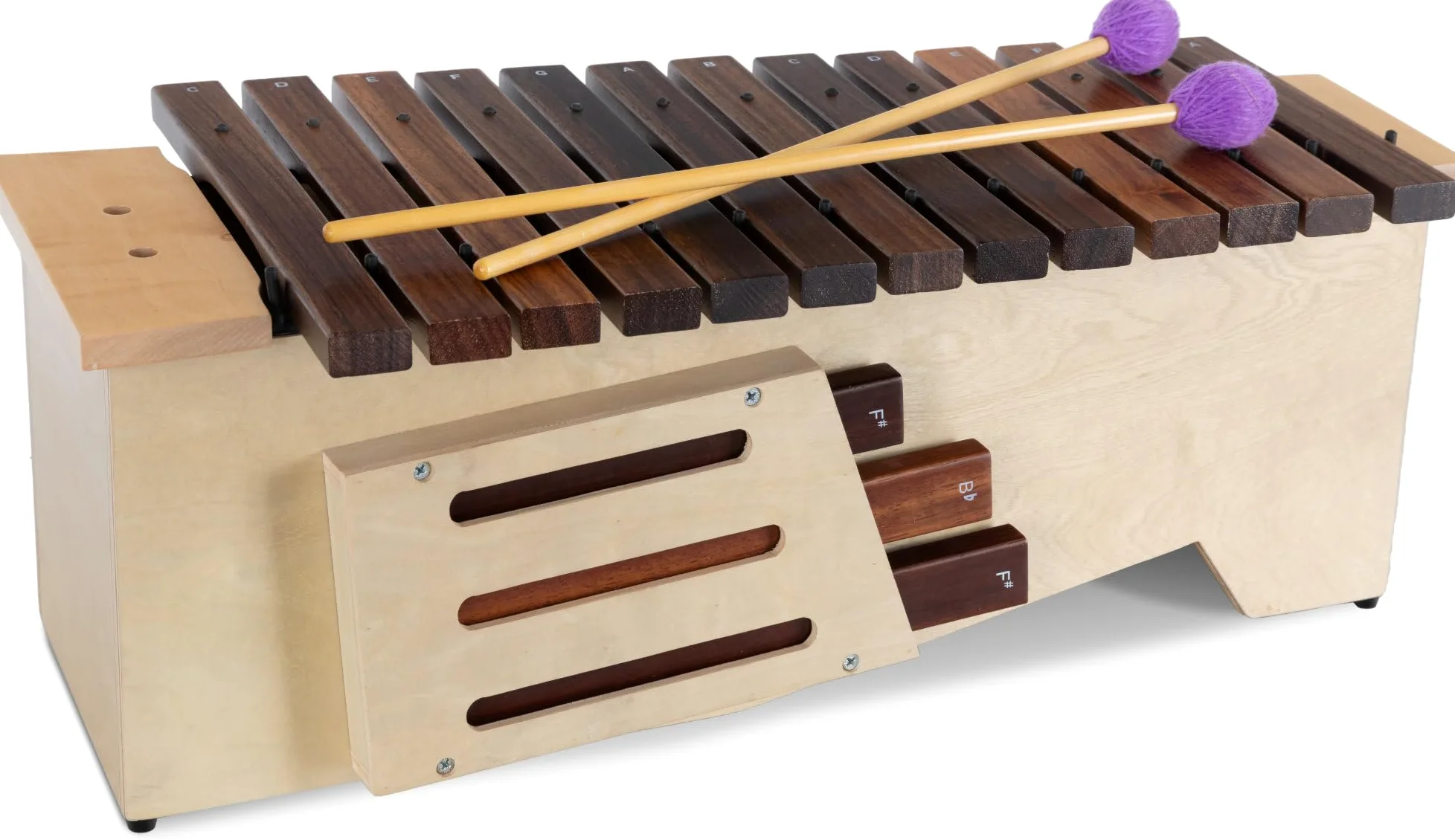Classic Cantabile AX-1600NG Xilófono Alto (Xilófono Alto, 16 tonos, escala de Do mayor, rango tonal: c' a a'', caja de resonancia de tilo, baquetas) Madera de tilo