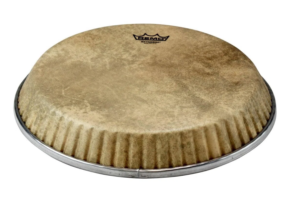 Remo parche de percusión Skyndeep Symmetry Calfskin Conga – 12,50" - Variante D1 – M4-1250-S6-D1003