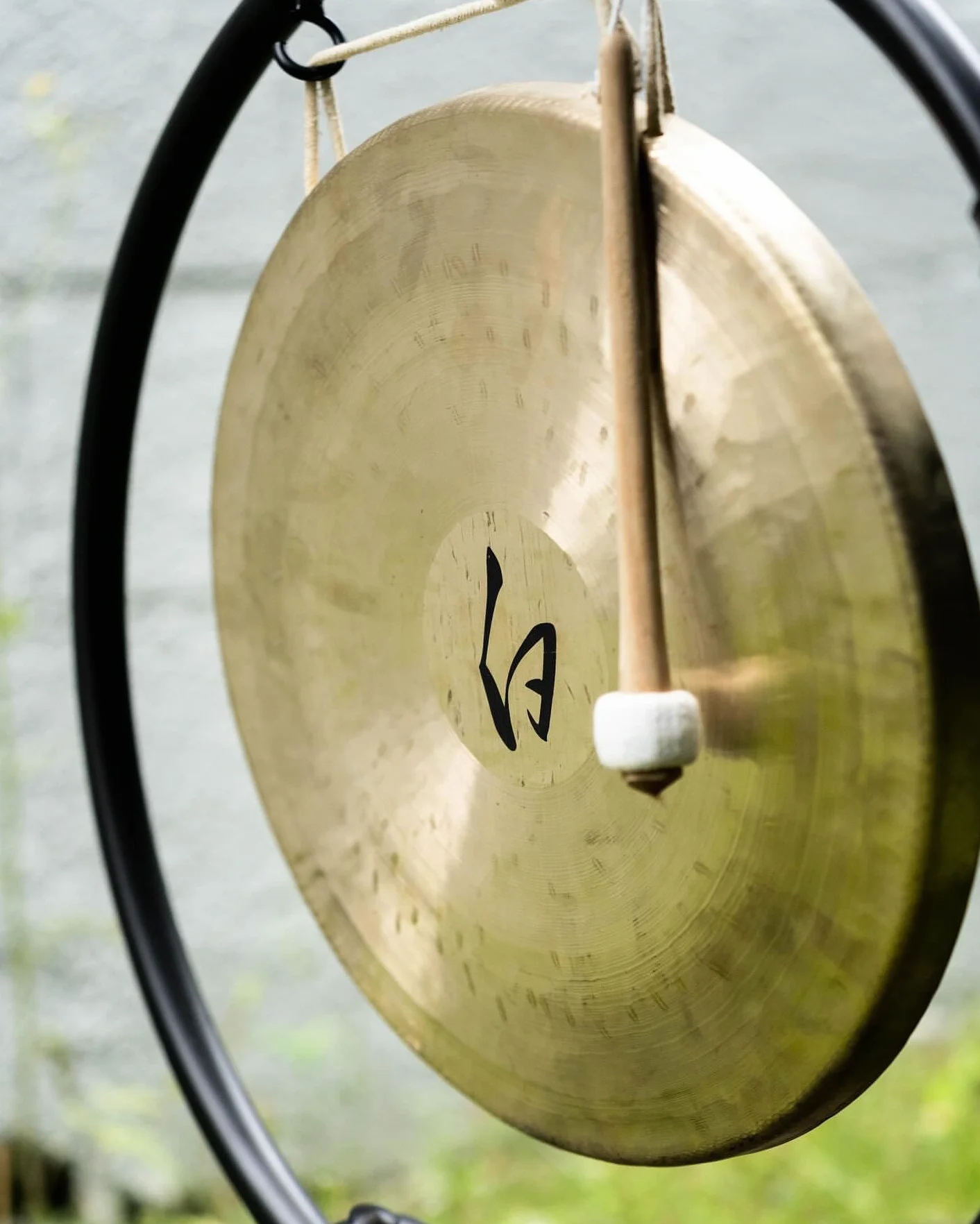 Meinl Sonic Energy White Gong 30.48 cm, 12 pulgadas - incluye Batidor, WG-12