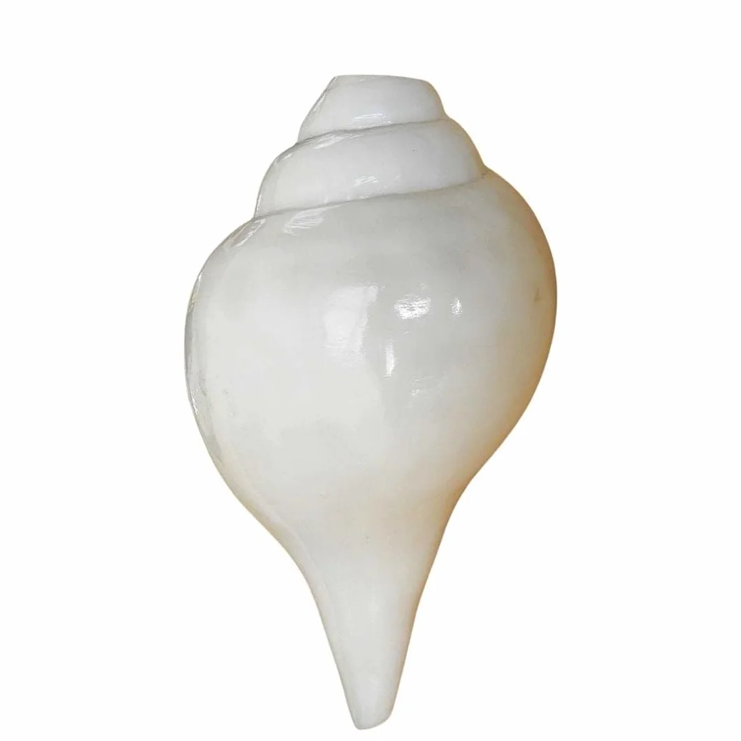 Seashell - Concha melódica para Pooja, templo, decoración del hogar, Feng Shui, color blanco natural, 1 unidad (5 pulgadas aproximadamente)