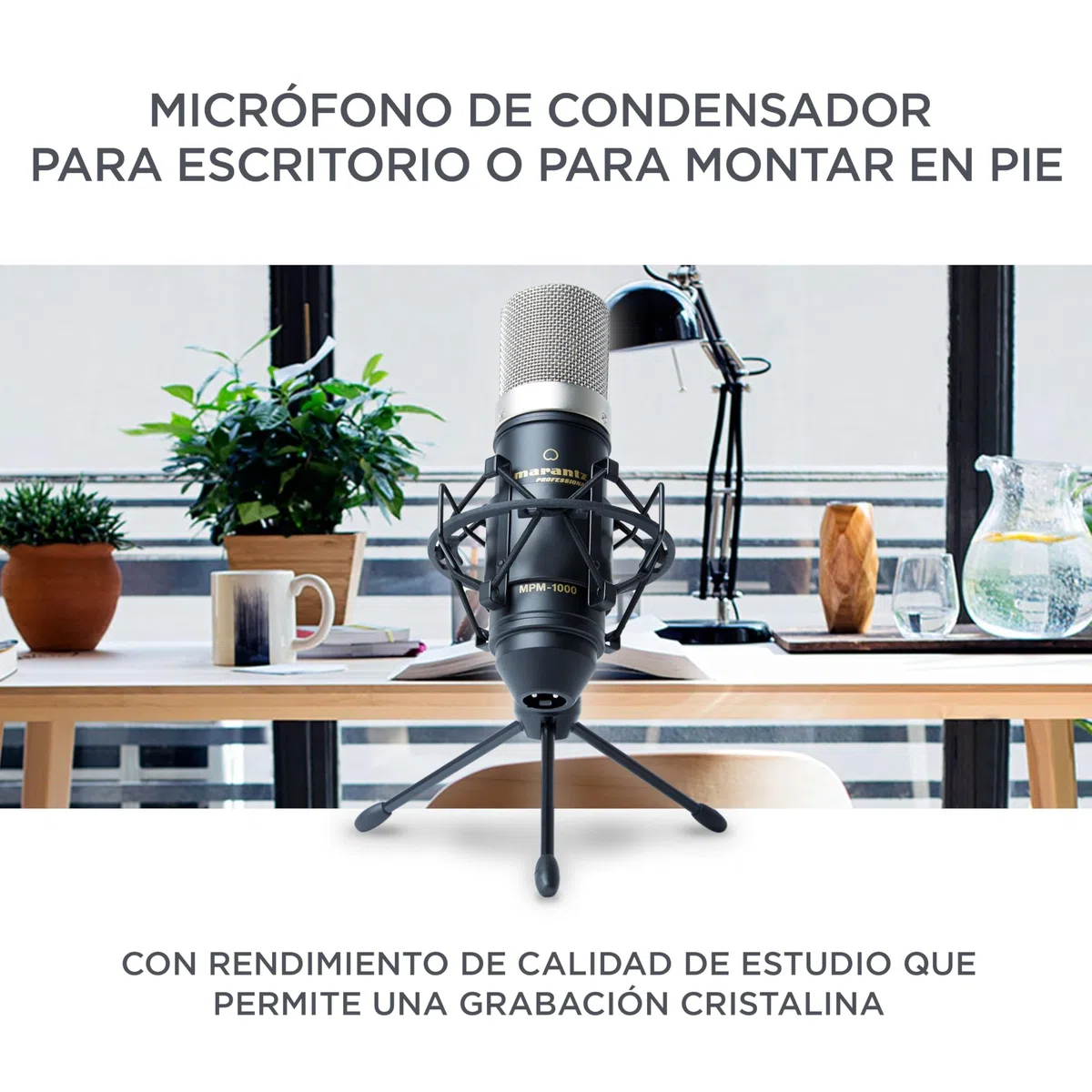 Marantz Professional MPM-1000 - Мicrófono de Condensador con Soporte de Escritorio y Cable XLR, para grabaciones de Estudio, Podcast, Streaming y más