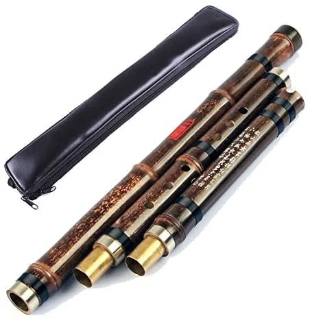 LANDTOM Flauta Xiao de bambú púrpura profesional para ejecutantes (diestros) (8 agujeros F con bolsa)