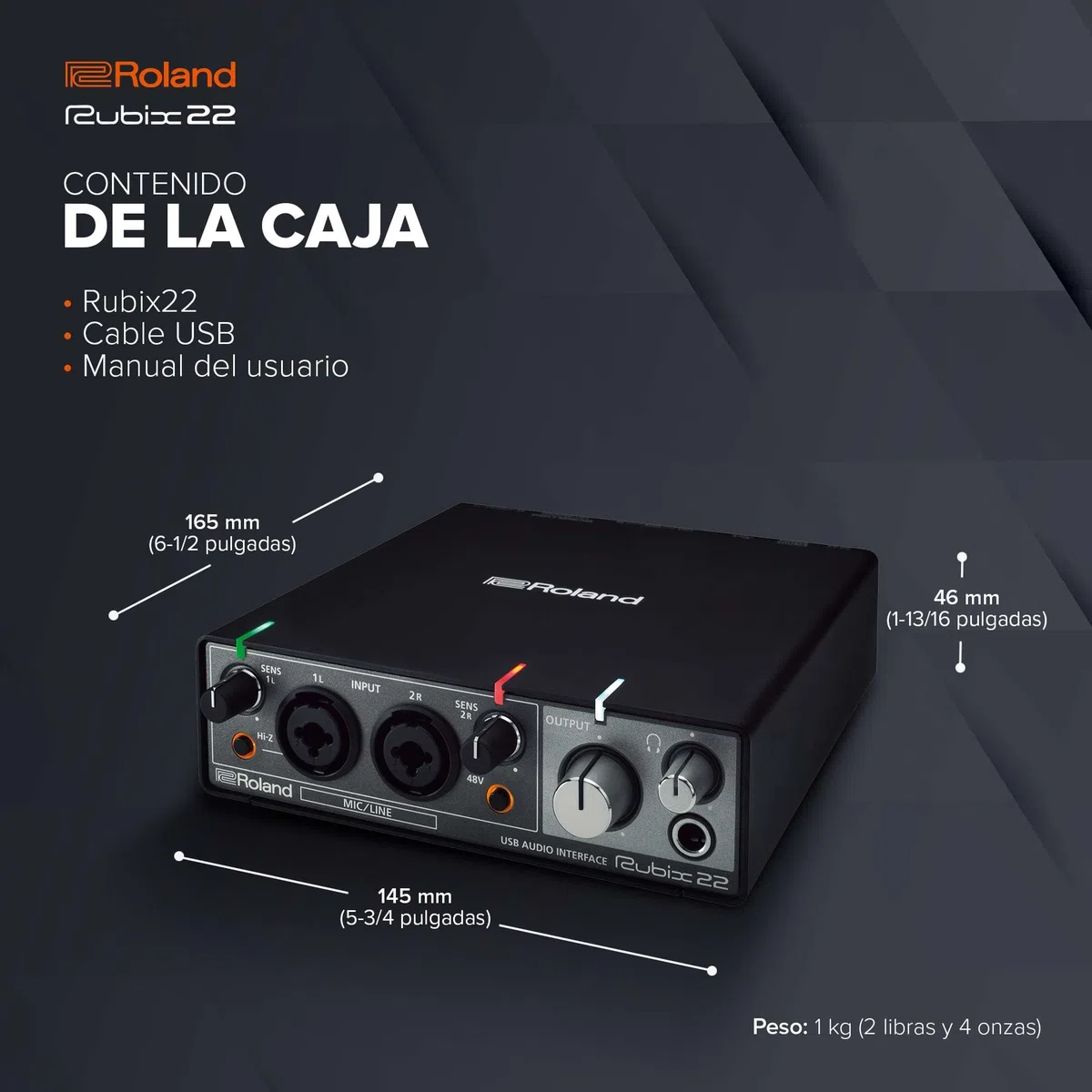 Roland Rubix22 Interfaz de audio USB de dos entradas y dos salidas | Audio en alta resolución | Graba con micros, guitarras, teclas y más | Compacto y resistente | Compatible con Mac, PC y iPad
