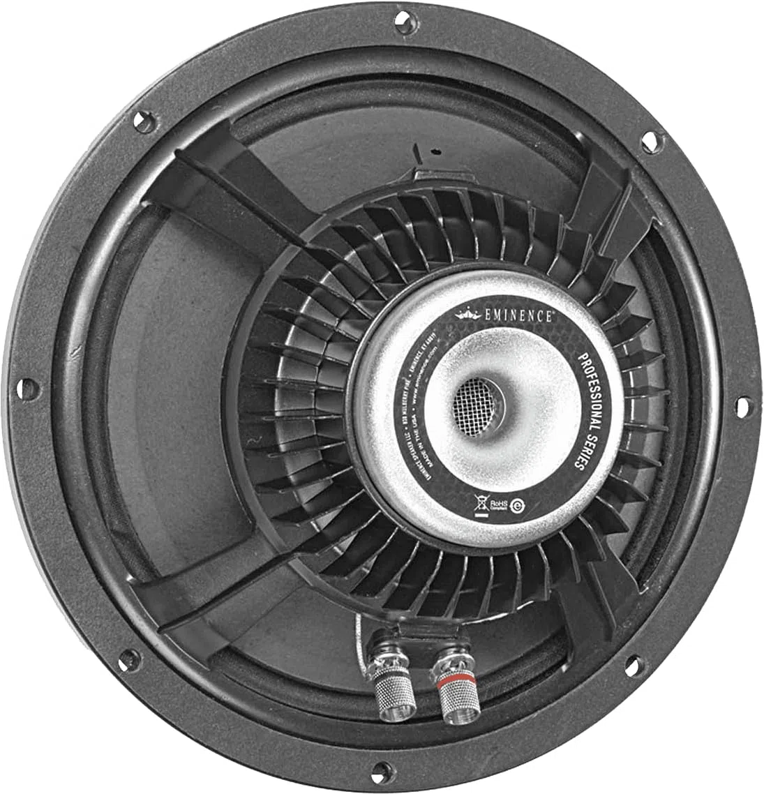 Eminence bass/midrange speaker 25cm 250W 8 ohms