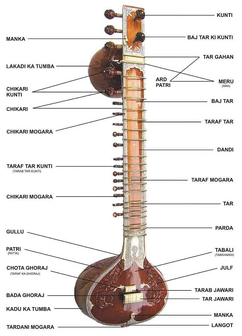 Profesional Pt. Ravi Shankar Style Double Tumba Sitar, instrumento de cuerda tradicional indio, marrón con caja de fibra Torlley
